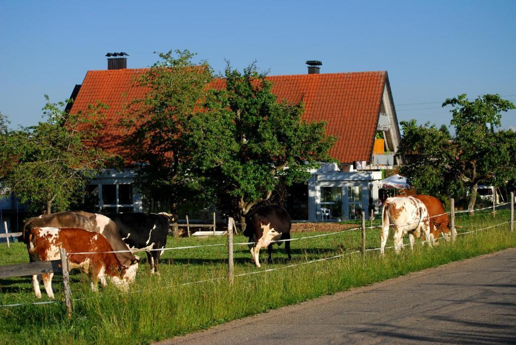 Wellnesshotel Schiesselhof Grafenhausen Rom bilde